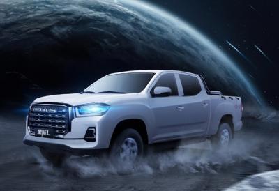 Chine Vente à chaud 2.0T Diesel Automatique 2WD Elite Flat Box Version véhicule à double cabine avec un bon prix à vendre