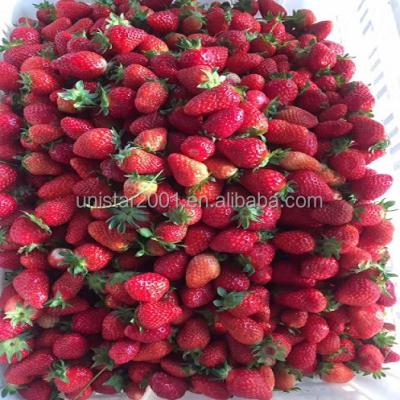 China FROZEN STRAWBERRY CHARLI SWEET JELLY GRADE A for sale