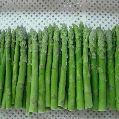 China FROZEN GREEN ASPARAGUS NEW HARVEST FROZEN PRICES for sale