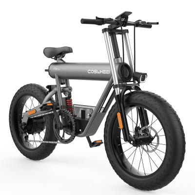 China Coswheel 2021 new mountain bike vintage battery electric bicycle large capacity snow skid electric bicycle for sale