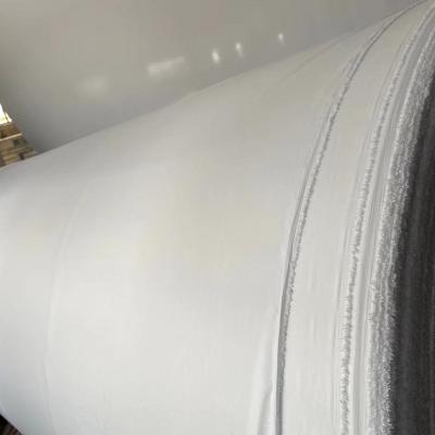 China Tear-resistant gray greige fabric 100% polyester white color for PFP /PFD in stock changxing a lot for sale