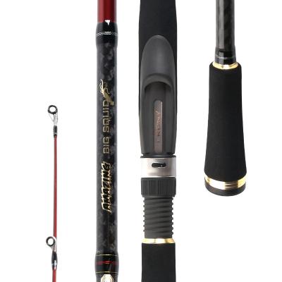 China Carbon BUDDY Stunning Big Squid Premium Saltwater Beach Fishing Rod for sale