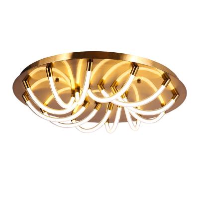 China Modern Design Single Surface Mount 120w LED Indoor Lighting Outdoor Ceiling Light for sale