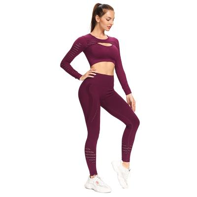 China Breathable Hot Selling Women Body Mesh Long Sleeve Sports Running High Waist Seamless Gym Slim Yoga Sets for sale