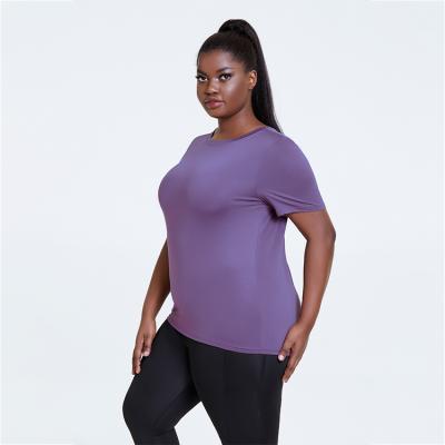 China Wholesale Anti Shrink Plus Size Stretch Tights Thin Fit Gym Sports Top T-shirt Yoga Shorts Breathable Seamless Raglan Sleeve Top for sale