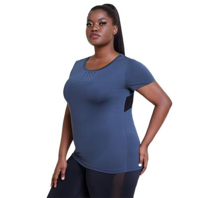 China 2021 New Women Sportswear Breathable Seamless Yoga Shirt Tops For Women Fitness Gym Crop Tops Plus Size Sportswear for sale