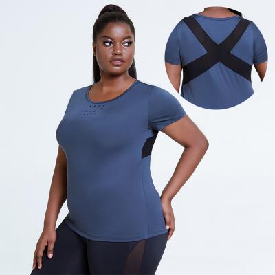 China Custom Breathable Seamless Running Crop Women Workout Gym Sportswear Plus Size Patchwork Yoga Top Fitted Shirt for sale