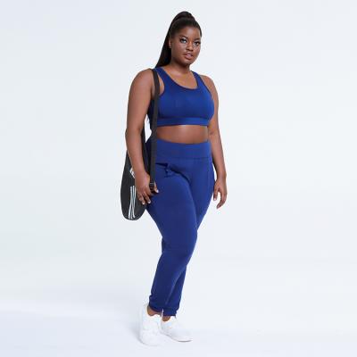 China Wholesale Breathable Plus Size Sports Bras Grow Top Fitness Yoga Wear Mesh Sports Brassiere Full Cup Bra 4xl for sale