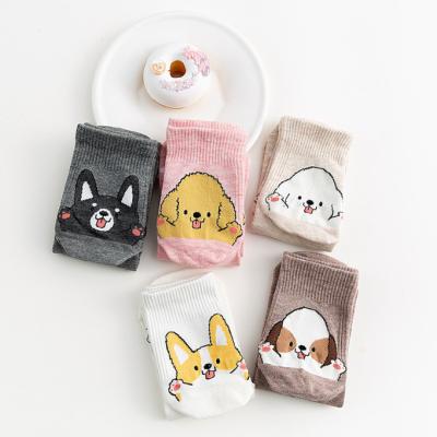 China QUICK DRY WUYANG FACTORY Solid Cotton Socks Cute Dog Pattern Socks for Children and Women Casual Socks High Quality for sale