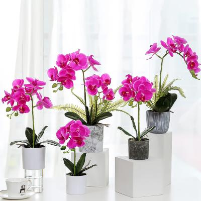 China Wedding Wholesale Real Touch Purple 7 Heads Butterfly Orchid Artificial Flower In Pot for sale