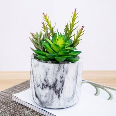 China Indoor Succulent Plants Wholesale Mini Artificial Succulent Plant Traditional Plant In USA Hot Sale for sale