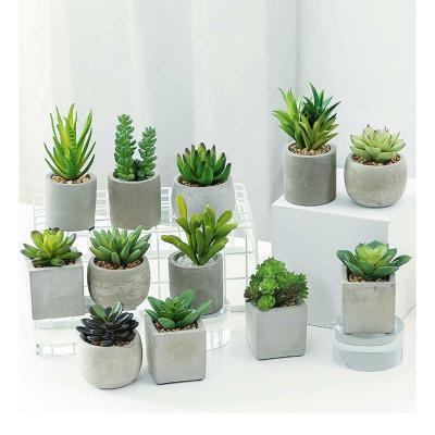 China Desktop Traditional Decoration Artificial Succulents Plant Potted With Printing Cement Base For Indoor Decoration for sale