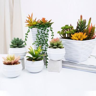 China Hot Selling Eco-friendly Mini Cheap DIY Amazon Fake Rose Artificial Succulent Plants Potted for sale