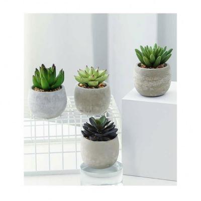 China Traditional Wholesale Small Size Plants Artificial Succulents Potted In Bottle For Office Indoor Decoration for sale