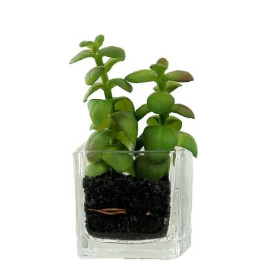 China Beautiful Realistic Decorative Cute Potted Plastic Mini Artificial Succulent Plants In Cube Glass Vase for sale