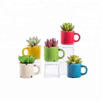 China Beautiful Colorful Ceramic Mini Cups Fake Tee Artificial Succulent Plants Home Set for sale