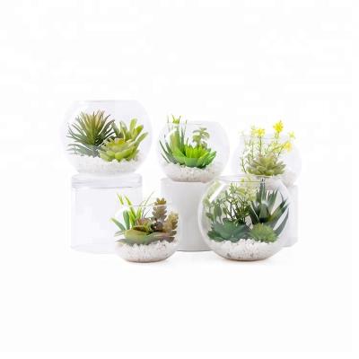 China New Design Traditional Small Size Fake Artificial Succulent Plants In Glass Flowerpot For Decoration for sale