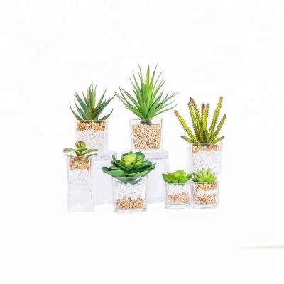 China New Design Traditional Indoor Decorative Small Size Plastic Artificial Plants In Glass Flowerpot for sale