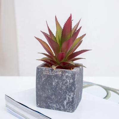 China Hot Sale Indoor Cheap Red Agave Plants Artificial Succulent Plants In Art Pulp Pots for sale