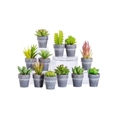 China New Traditional Design Custom Decorative Potted Fake Succulent Artificial Plant Small Mini In Pulp Flowerpot for sale