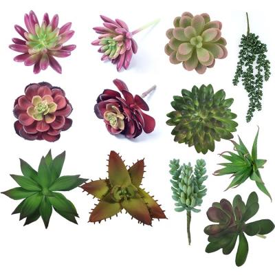 China Eco-Friendly Set Of Assorted Unpotted Artificial Succulent Plants 14 Packs For DIY Layout for sale