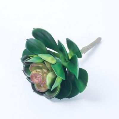 China Environmental High Quality Artificial Succulent Plants Wholesale for sale