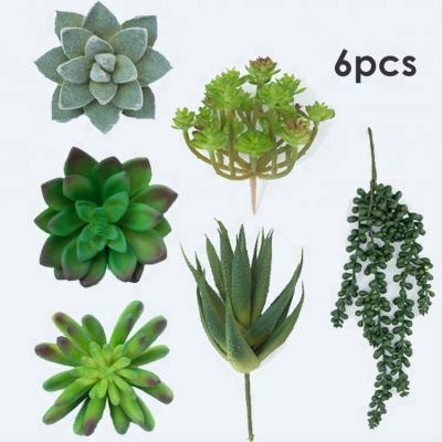 China Environmental Hot Sale 6pcs Succulents Assorted Green Fake Succulents Single Hanging Artificial Succulent Plants for sale