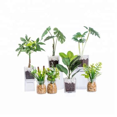 China Newest Small High Quality Home Indoor Decorative Artificial Succulent Potted Plants In The Glass Flower Pot for sale