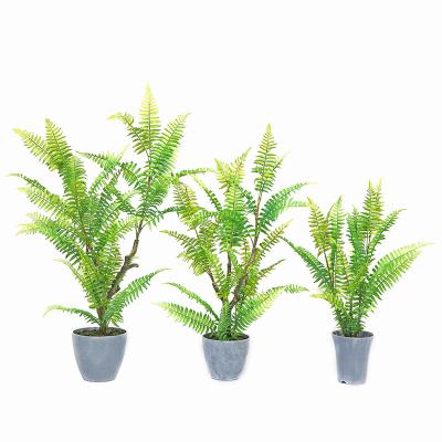 China Hot Selling Small Traditional Potted Realistic Artificial 3D Tree Plants Tropical Fern Grass Green Aquarium for sale