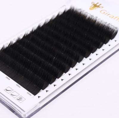 China 2022 Natural Soft Classic Individual Volume Eyelashes Lash Eyelash Tray Extension for sale