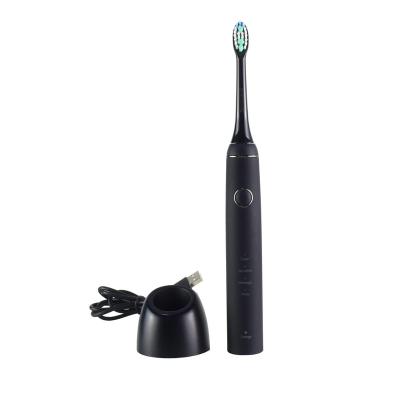 China TCH 2020 Rechargeable Automatic Replacement Teeth Brush Sonic Toothbrush Private Label Toothbrushes For Adults for sale