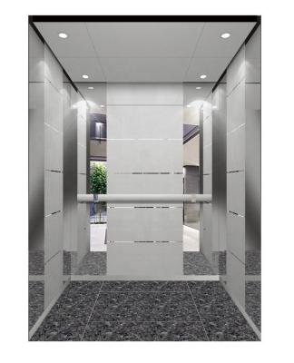 China Contemporary 450kg-2000kg Passenger Lift With Economic Price for sale