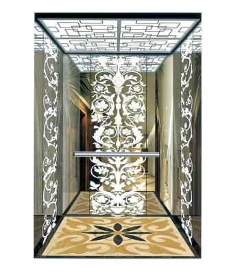 China Professional Hotel Desenk / DSK Passenger Elevator Manufacturer for sale