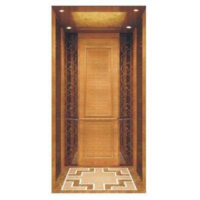 China Classic Home Villa Elevator Home Small Hotel Style Elevator for sale