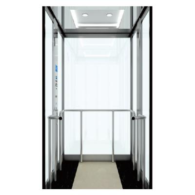 China hotel desenk villa home elevator transparent color simple elevator for sale