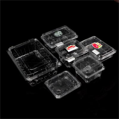 China Disposable Clear Recyclable Disposable Plastic Pet Food Storage And Container Packaging For Food And Fruit for sale