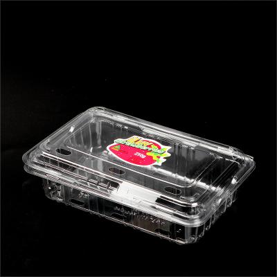 China Disposable Wholesale Safe Disposable Transparent Fruits Packaging Plastic PET Fruit Container strawberry plastic fruit container for sale