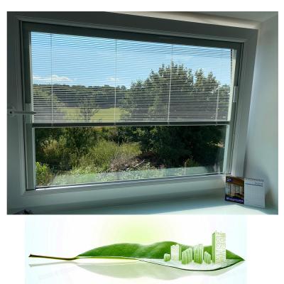 China Modern Minetal Blinds Between Glass Suitable Magnetic Window Cleaner For Double Glazing Office Window for sale