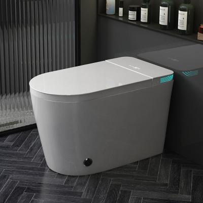 China Double-Flow Electric Sanitary Ceramic Bathroom Toilet Bowl Hottest Selling Items Wc Smart Bidet Toilet for sale