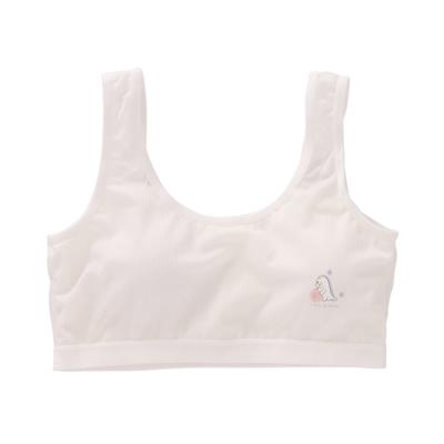 China Various factory manufacturing private label fitness cotton sports bras QUICK DRY for girls for sale