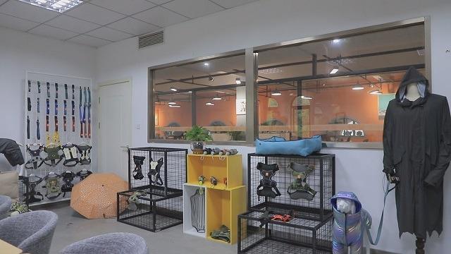 Verified China supplier - Hangzhou Corgiology Pet Supply Co., Ltd.