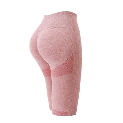 China Hot Sale Breathable Women Seamless Yoga Shorts Fitness Workout High Waist Gym Shorts for sale