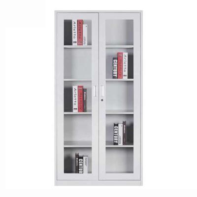 China Manufacturer Low Price 2 (Height) Adjustable Door File Cabinet Storage Cabinet for Hospital Office School for sale