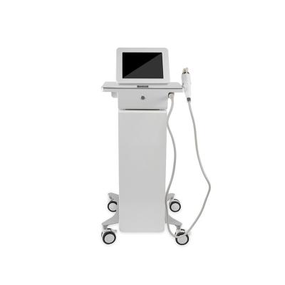 China Others 2022 Fractional Fractional RF and Microneedle RF Beauty Micro Needle Machine for sale