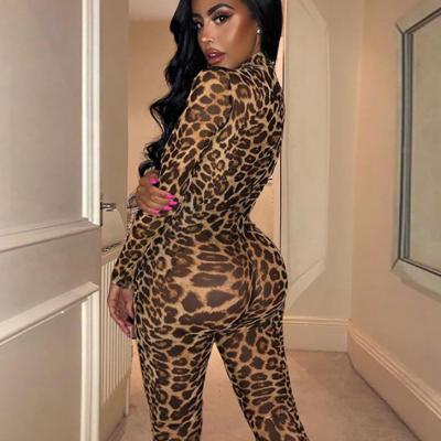 China Viable See Through Transparent Leopard Print Sexy Women Mesh Long Jumpsuit Festival Body Outfits Party Apparel for sale