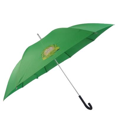 China Customized Design Plain Umbrella Custom Design Logo Auto Open Straight Rain Printing Promotion New for sale