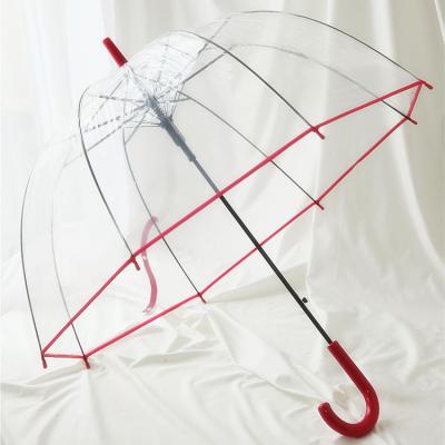 China POE fabric dome shape clear bubble minimalist semi-automatic transparent umbrella for sale