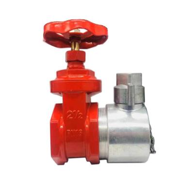 China Fire Fighting Emergency Rescue China Factory Good Quality 2 Inch 2.5 Inch Brass Fire Hydrant Valve For Sale for sale