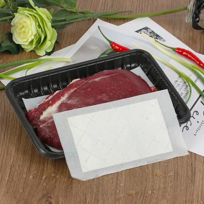 China Food Grade And High Quality Eco-friendly Hot Sale 130X90Mm Disposable Meat Packaging Absorbent Pad for sale