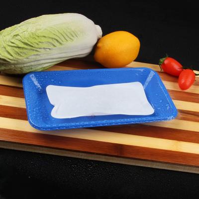 China Food Grade And Eco-Friendly Pad Absorbent Ice Cooler Bag For Keeping Food Fresh for sale